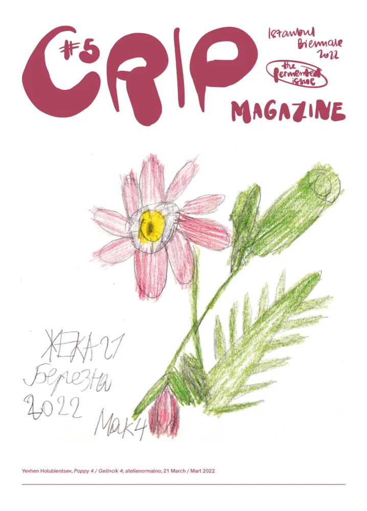 Two flowers, a daisy and a rose, are in front of a white background. The daisy, facing upward, has a rosette of quite big, thin red petals surrounding a bright yellow centre. The red rose is upside down. Below a big font spells out "Crip #5. Istanbul Biennale 2022. The fermented issue. Magazine"].